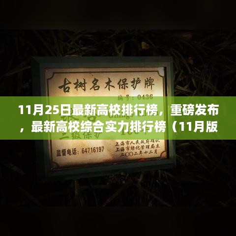 最新高校综合实力排行榜（11月版），理想学府榜单揭晓！