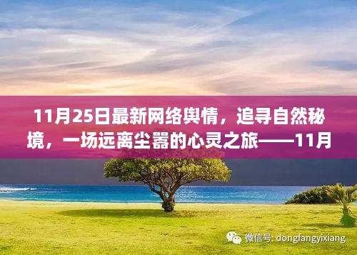 11月25日网络舆情观察，追寻自然秘境的心灵之旅，远离尘嚣的舆情动态