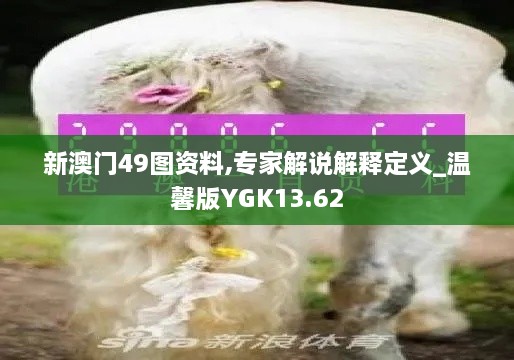 新澳门49图资料,专家解说解释定义_温馨版YGK13.62