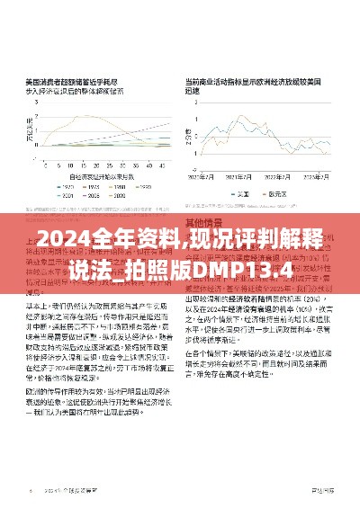 2024全年资料,现况评判解释说法_拍照版DMP13.4