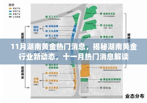 揭秘湖南黄金行业新动态，十一月热门消息解读与深度分析