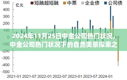 中金公司热门状况下的自然美景探索之旅，寻找心灵的宁静与平和