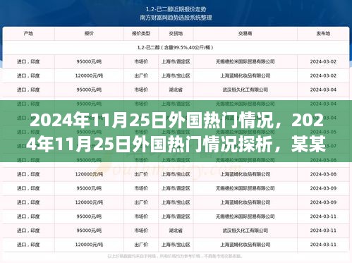 从某某观点看，2024年11月25日外国热门情况深度探析