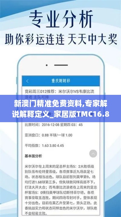 新澳门精准免费资料,专家解说解释定义_家居版TMC16.88