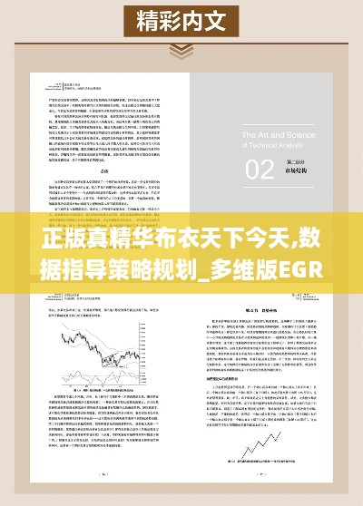 正版真精华布衣天下今天,数据指导策略规划_多维版EGR16.13