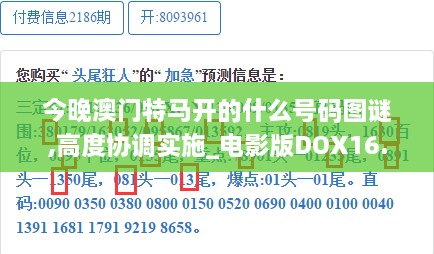 今晚澳门特马开的什么号码图谜,高度协调实施_电影版DOX16.3