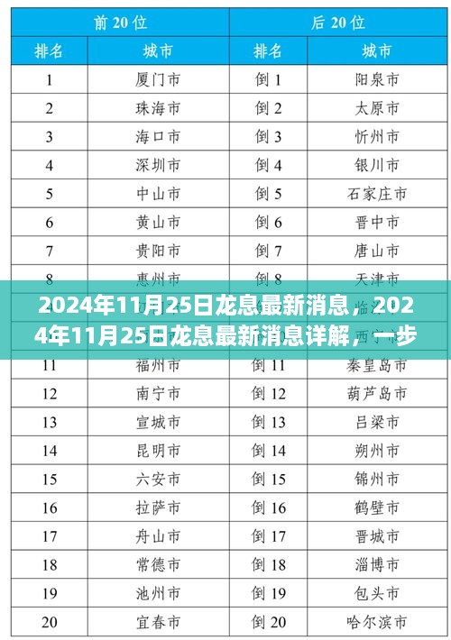 2024年11月25日龙息最新消息详解，掌握获取与运用技巧