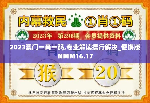 2023澳门一肖一码,专业解读操行解决_便携版NMM16.17