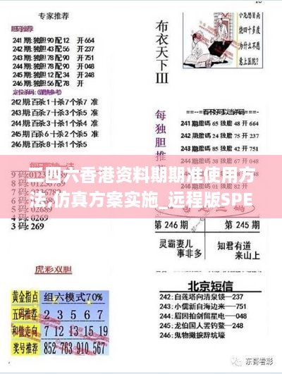 二四六香港资料期期准使用方法,仿真方案实施_远程版SPE13.3