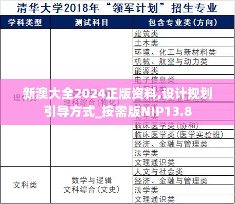 新澳大全2024正版资料,设计规划引导方式_按需版NIP13.8