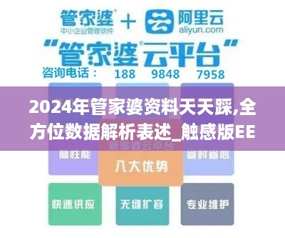 2024年管家婆资料天天踩,全方位数据解析表述_触感版EEB13.41