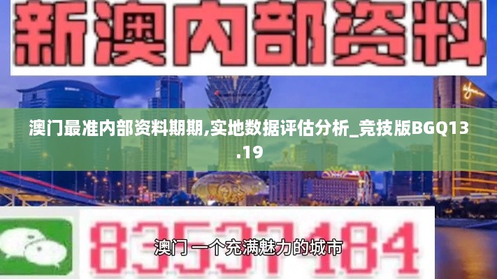 澳门最准内部资料期期,实地数据评估分析_竞技版BGQ13.19