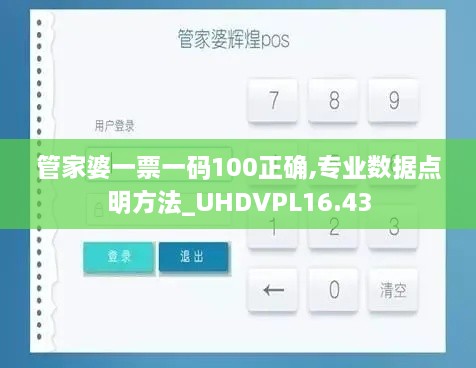 管家婆一票一码100正确,专业数据点明方法_UHDVPL16.43