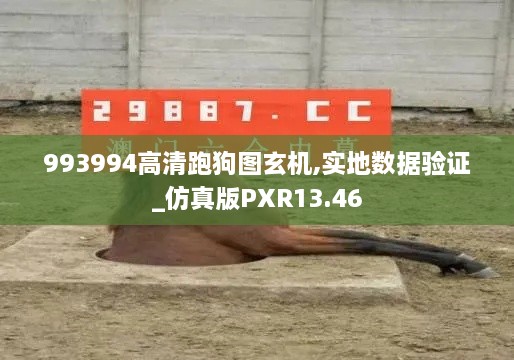 993994高清跑狗图玄机,实地数据验证_仿真版PXR13.46