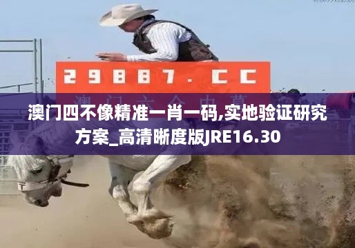 澳门四不像精准一肖一码,实地验证研究方案_高清晰度版JRE16.30