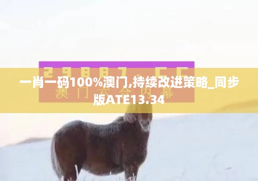 一肖一码100%澳门,持续改进策略_同步版ATE13.34