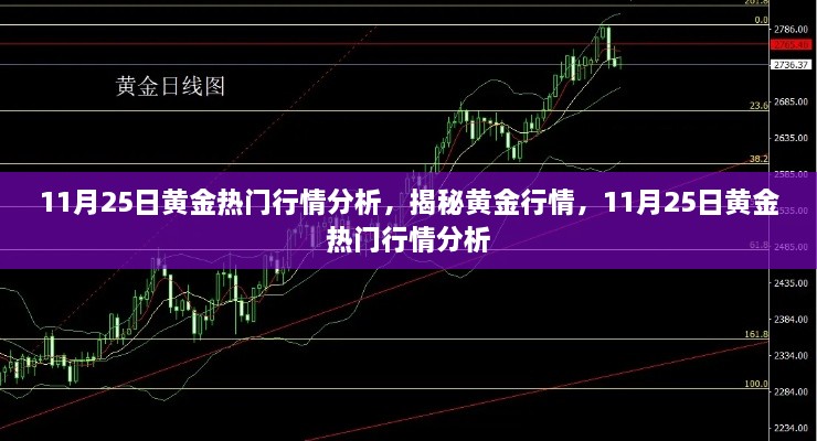 揭秘黄金行情，11月25日热门行情深度分析