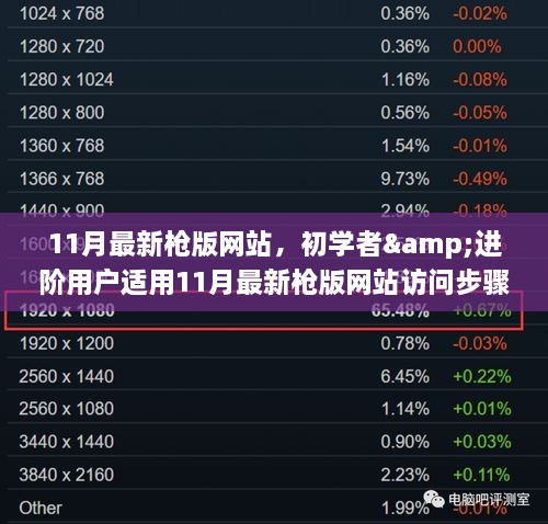 11月最新枪版网站访问指南，从初学者到进阶用户的详细步骤