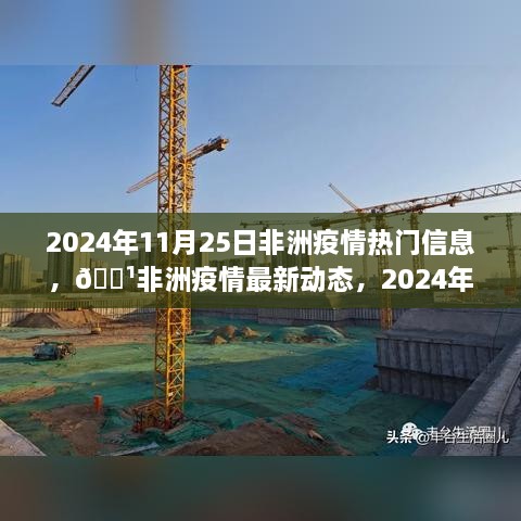 2024年11月25日非洲疫情最新动态与热门信息汇集