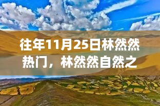 林然然十一月探险之旅，自然之旅与寻找宁静之心的奇妙历程