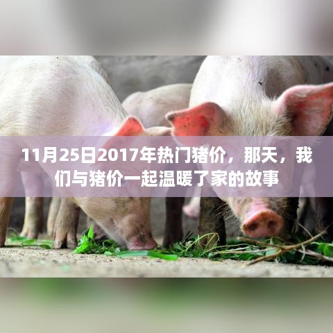 家的温暖，2017年11月25日猪价回顾