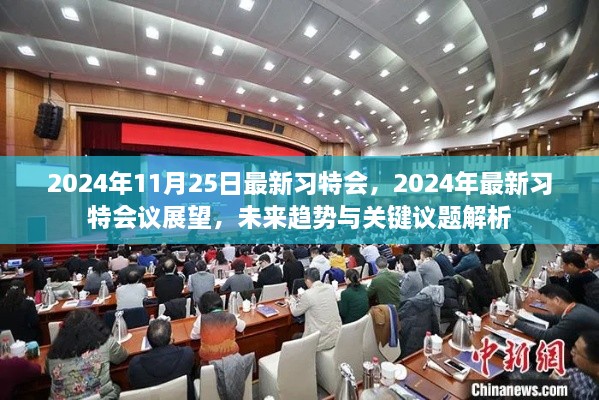 未来趋势解析，2024年习特会议展望与关键议题解析