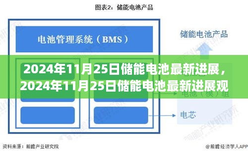 2024年11月25日储能电池最新进展及观点论述