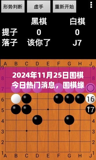 围棋缘，今日热门消息与温馨棋局（2024年11月25日）