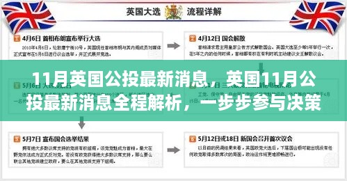 英国11月公投全程解析与决策参与指南