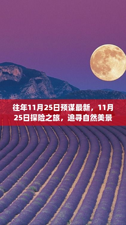 11月25日探险之旅，追寻自然美景，探寻内心宁静的旅程