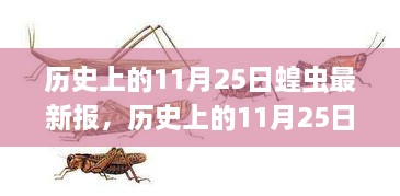 历史上的11月25日蝗灾实录与应对指南