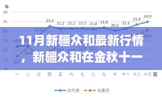 金秋十一月新疆众和行情深度解析，背景、事件与地位之剖析