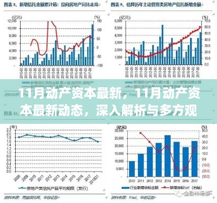 11月动产资本最新动态，深入解析与多方观点交汇