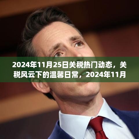 关税风云下的温馨日常，揭秘2024年关税动态与奇遇