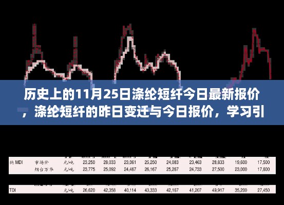 涤纶短纤市场变革，历史变迁与最新报价，学习自信铸就未来之路