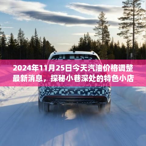 2024年11月25日汽油价格调整最新消息及小巷特色小店探秘