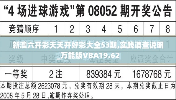 新澳六开彩天天开好彩大全53期,实践调查说明_万能版VBA19.62