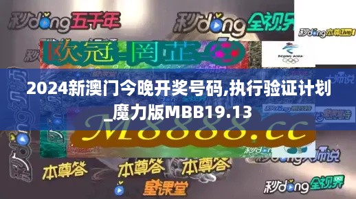 2024新澳门今晚开奖号码,执行验证计划_魔力版MBB19.13