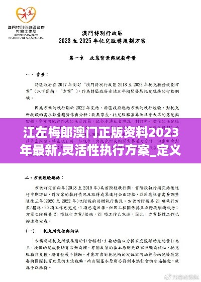 江左梅郎澳门正版资料2023年最新,灵活性执行方案_定义版RWE10.10