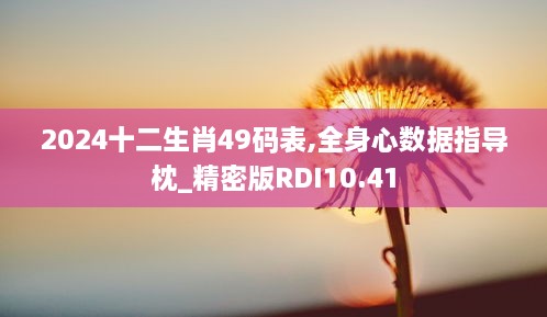 2024十二生肖49码表,全身心数据指导枕_精密版RDI10.41