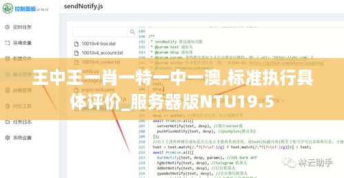 王中王一肖一特一中一澳,标准执行具体评价_服务器版NTU19.5