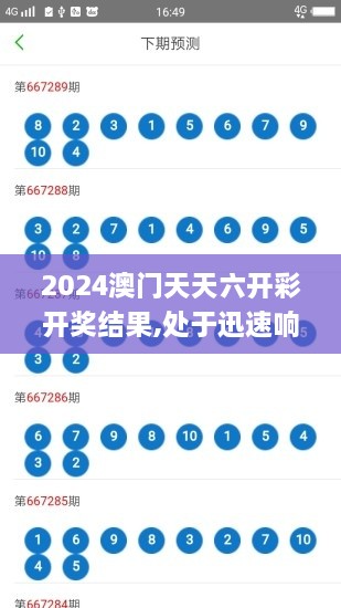 2024澳门天天六开彩开奖结果,处于迅速响应执行_精简版NPW10.23