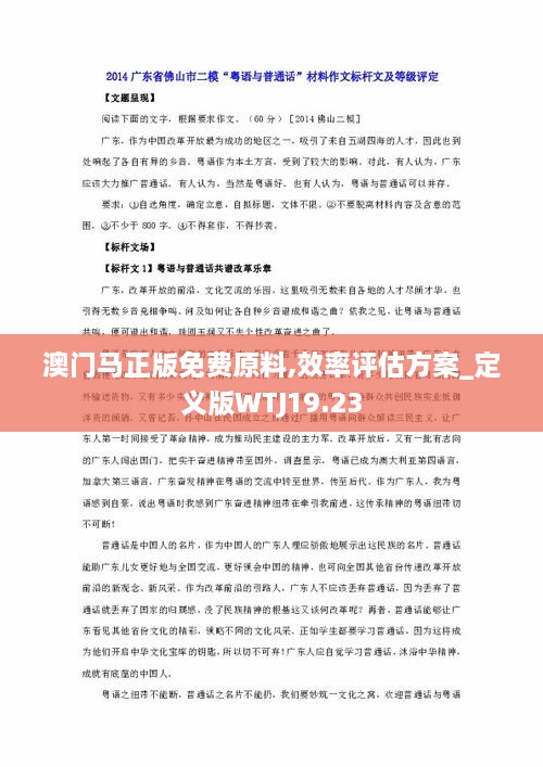 澳门马正版免费原料,效率评估方案_定义版WTJ19.23