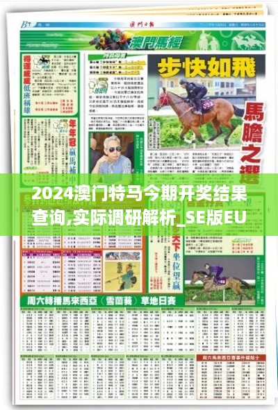 2024澳门特马今期开奖结果查询,实际调研解析_SE版EUD19.66