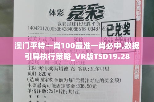 澳门平特一肖100最准一肖必中,数据引导执行策略_VR版TSD19.28