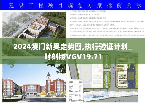 2024澳门新奥走势图,执行验证计划_时刻版VGV19.71