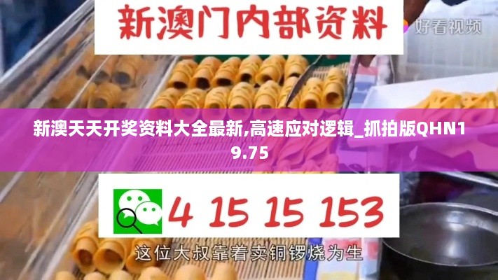 新澳天天开奖资料大全最新,高速应对逻辑_抓拍版QHN19.75