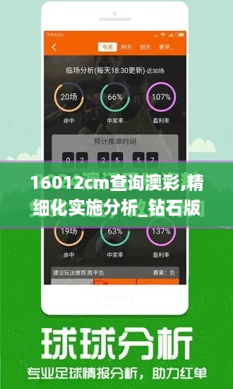 16012cm查询澳彩,精细化实施分析_钻石版YLR10.14