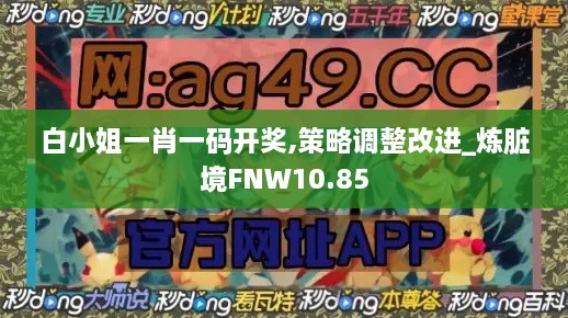 白小姐一肖一码开奖,策略调整改进_炼脏境FNW10.85