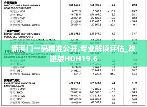 新澳门一码精准公开,专业解读评估_改进版HOH19.6